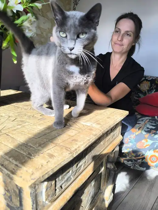 Chat gris aux yeux verts debout sur une malle en bois, Marine Boullier souriante derrière lui