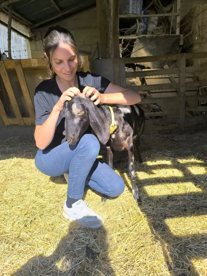 Marine Boullier souriante, accroupie dans la paille, massant la tête d’une chèvre tachetée aux longues oreilles