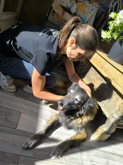 Marine Boullier penchée sur un vieux berger couché au soleil, la main posée sur sa tête