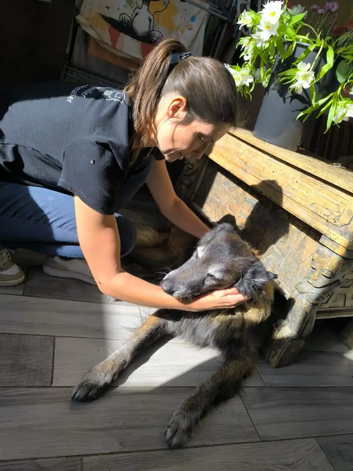 Marine Boullier penchée sur un vieux berger allongé au soleil, la tête du chien entre ses mains