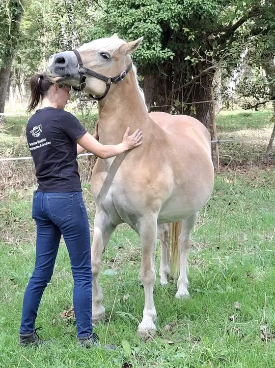 Marine Boullier, une main posée sur la croupe d'un cheval haflinger dans un pré