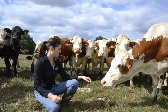 Marine Boullier accroupie dans un pré, face à un troupeau de vaches qui s’approche