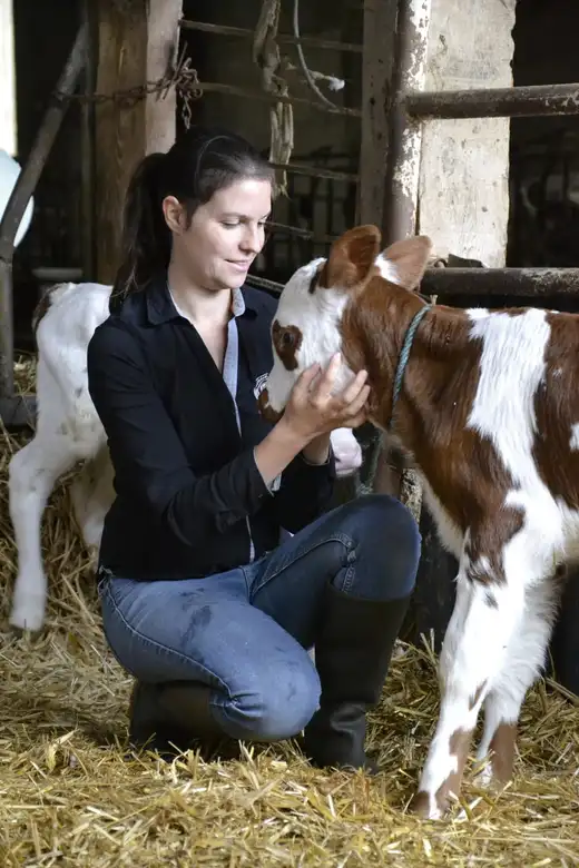 Marine Boullier, main posée sur le dos d’une vache dans la brume du matin
